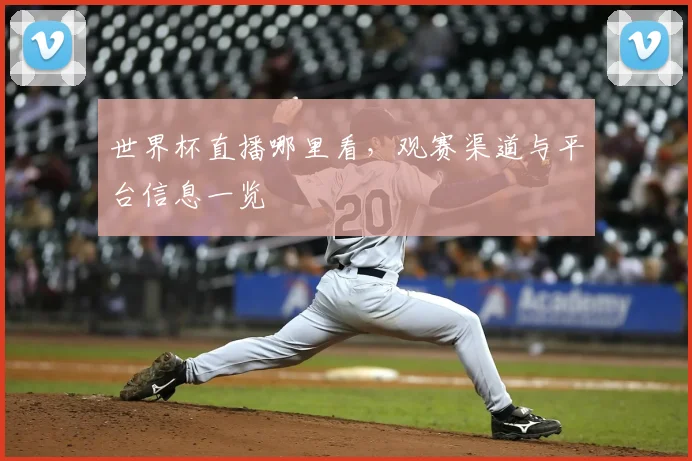 世界杯直播哪里看，观赛渠道与平台信息一览