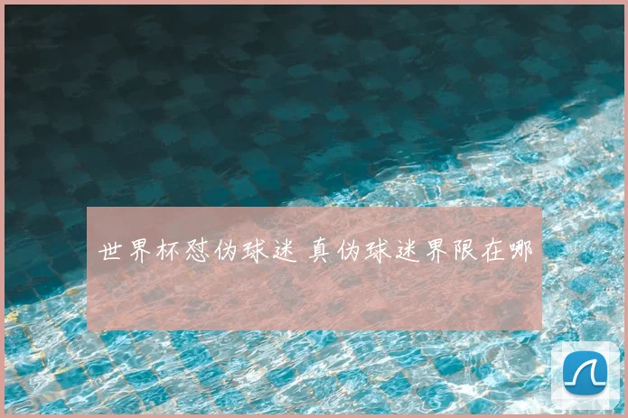 世界杯怼伪球迷 真伪球迷界限在哪