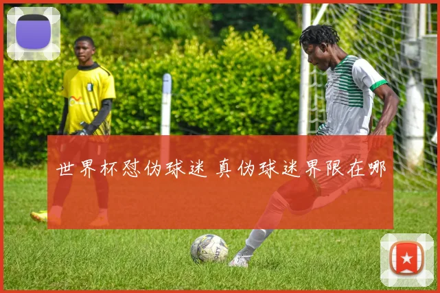 世界杯怼伪球迷 真伪球迷界限在哪