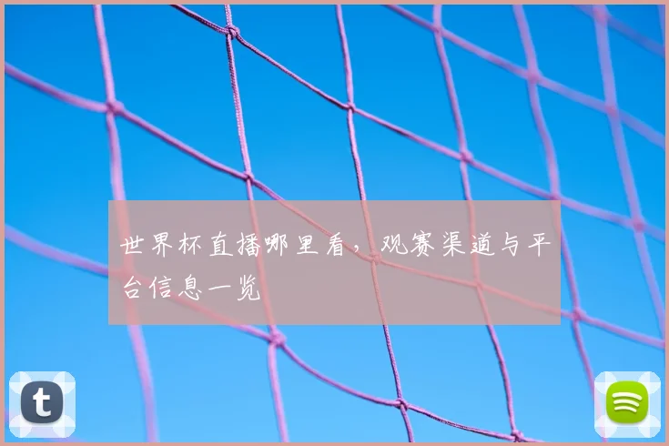 世界杯直播哪里看,观赛渠道与平台信息一览