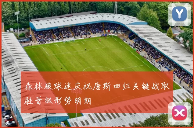 森林狼球迷庆祝唐斯回归关键战取胜晋级形势明朗