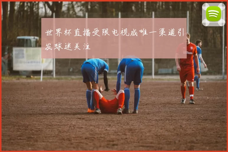 世界杯直播受限电视成唯一渠道引发球迷关注