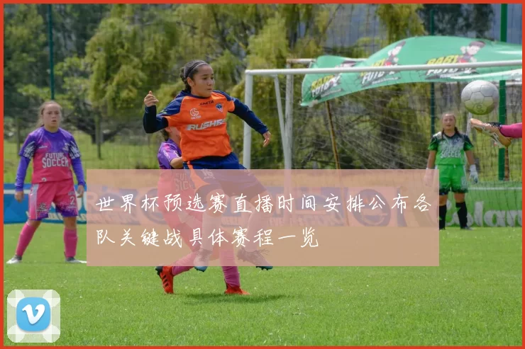 世界杯预选赛直播时间安排公布各队关键战具体赛程一览