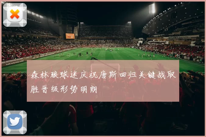 森林狼球迷庆祝唐斯回归关键战取胜晋级形势明朗