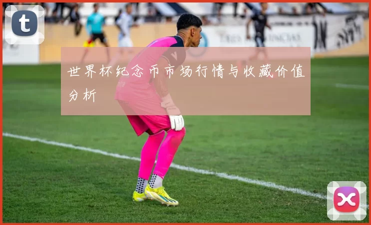 世界杯纪念币市场行情与收藏价值分析